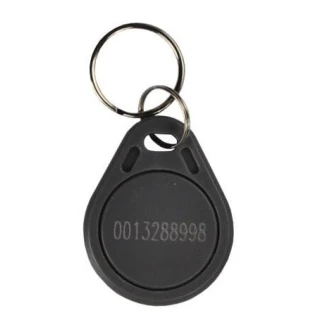 Portachiavi RFID BS-02GY 125kHz grigio con numero