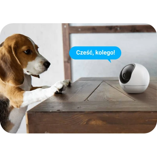 Telecamera WiFi con rilevamento animali - Pet Camera EZVIZ C6 2K