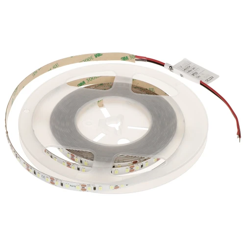 Nastro LED LED120-12V/9.6W-CW/5M - 16000K MW Lighting